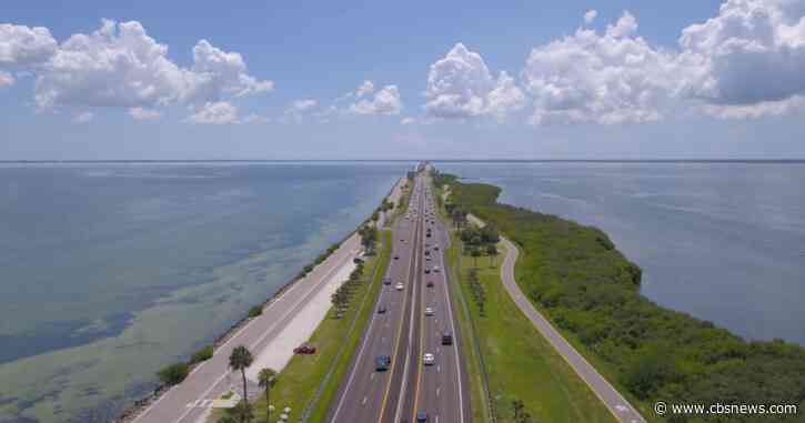Biologists: Heatwave a danger to coral reefs off the coast of Florida