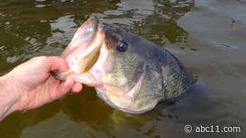 Eating limits of fish from North Carolina river recommended due to "forever chemical"