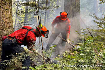 Wildfire on Mount Seymour in North Vancouver not growing, smoke reduced