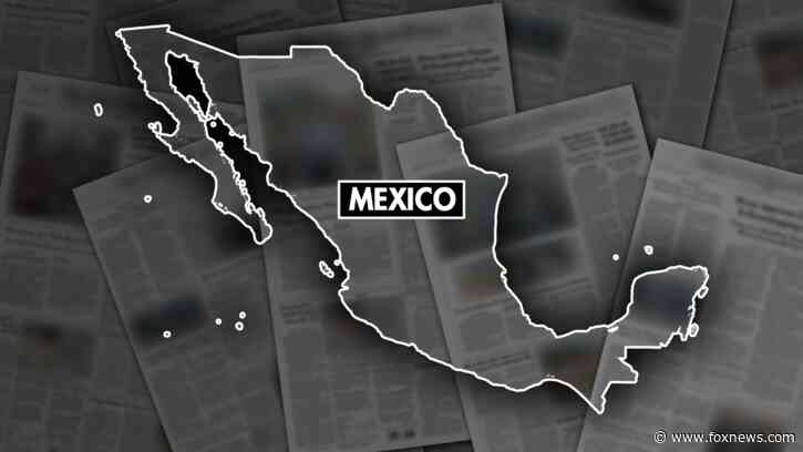 Mexican police rescue 20 children who were forced to work 12-hour days at resort