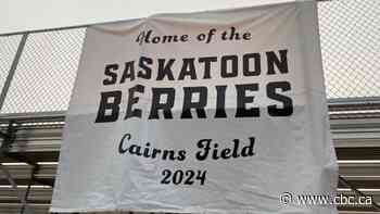 Saskatoon Berries chosen as name for new Western Canadian Baseball League team