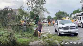 Tornado hits south Ottawa, 125 homes damaged
