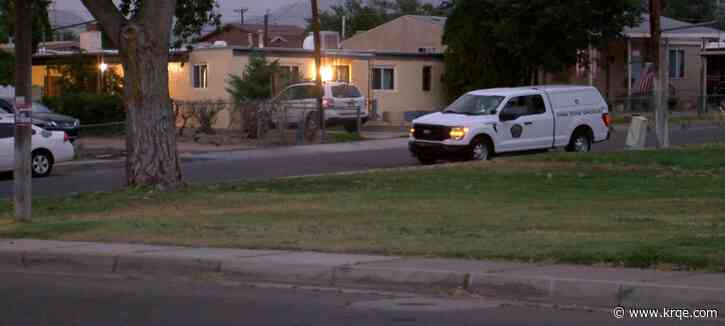 Two teens charged for shooting and stabbing at an Albuquerque park