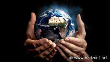 Das klimaneutrale Brötchen: Wie man rechtssicher mit Umwelt- und Klimaschutzbegriffen wirbt 