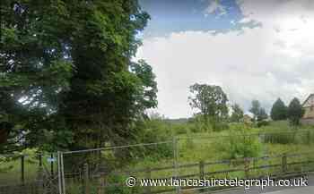 Burnley Lib Dem praised by Labour over allotments plan