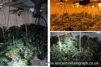 Police find cannabis farm on Parliament Street in Burnley