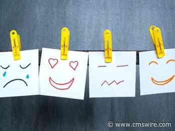 Sentiment Analysis Improves the Customer Experience