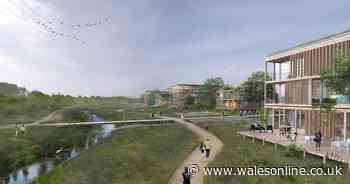 Why group doesn't want multi-million pound Cardiff Parkway project built on site of special scientific interest