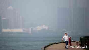 What is the economic cost of wildfire smoke?