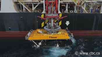 The oceans are rich in critical minerals. But will miners be allowed to get them?