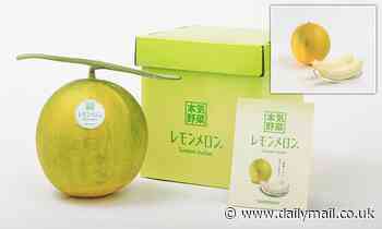 Scientists cross two fruits to create a 'Lemon Melon' that's juicy, sweet and slightly sour