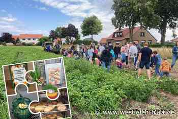 Stemwede: Tolles aus der Knolle