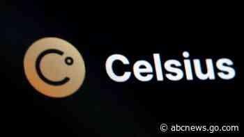 Founder of cryptocurrency lending platform Celsius Network arrested