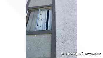 Someone fired 50 rounds into an apartment, police look for suspect