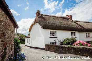 Millbrook Estate Devon Rose Cottage travel review