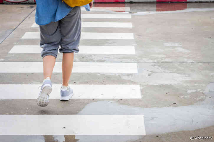 Weekend vote could require drivers to change response to pedestrians in Arlington Co.