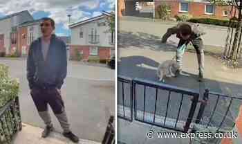 Police urge for witnesses of 'alleged puppy hitter' after video sparks outrage