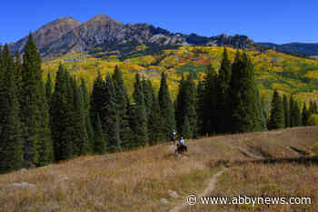 Three badly decomposing bodies found in remote Colorado campsite