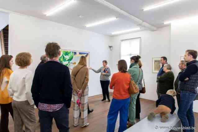 Roger Raveel Museum organiseert instaprondleidingen voor jong en oud