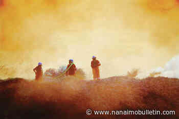 BC Wildfire Services firefighter dies while battling blaze outside Revelstoke