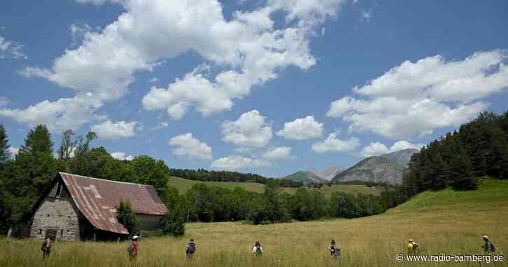 Junge in Frankreich vermisst: Greifvogel oder Verbrechen?