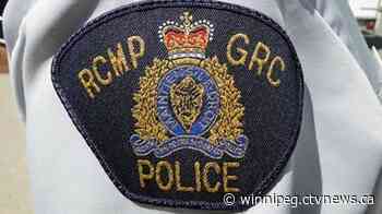 13-year-old charged with killing puppies: RCMP