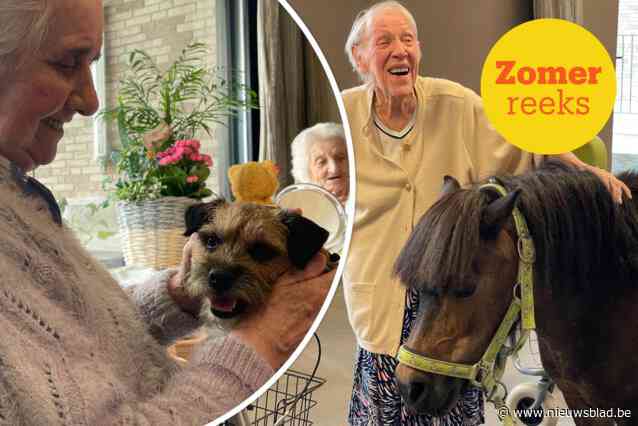 ZOMERREEKS “Beau en Biscuit toveren een glimlach op ieders gezicht”: pony, hond en hun baasjes trekken als mobiel snoezelteam naar zorgcentra
