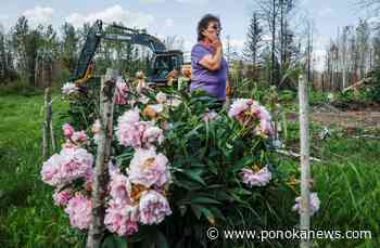 ‘It’s home’: Alberta’s Métis community rebuilds settlement after wildfire