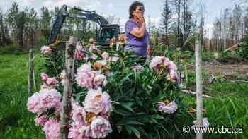 East Prairie Métis Settlement rebuilds after wildfire devastates northern Alberta community