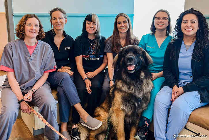 The advent of veterinary urgent care hospitals