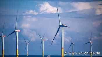 Energiewende: Warum sich die Wirtschaftsweisen als Fans der Erneuerbaren profilieren