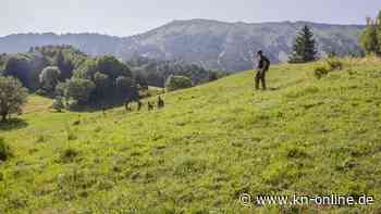 Émile in Frankreich vermisst: Behörden haben mehrere Hypothesen