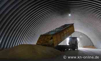 FAQ: Getreideabkommen zwischen Ukraine und Russland - droht das Aus?