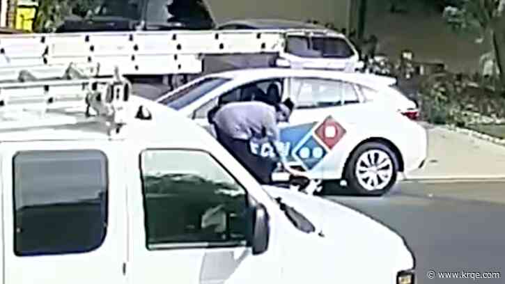 Video: Cat stolen by pizza delivery driver, Colorado family claims
