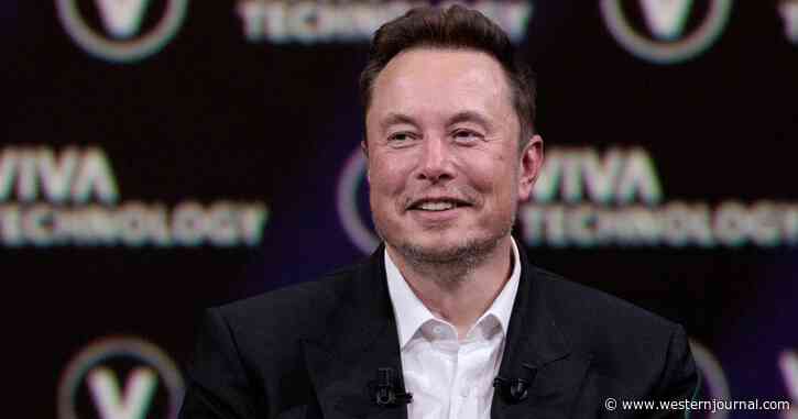 Influencers Who Refused to Pay Elon Musk $8 a Month for Twitter Realize What They Just Missed Out On
