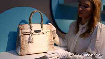 This bag costs $15,000. To buy it, you have to play an expensive, years-long game of cat and mouse