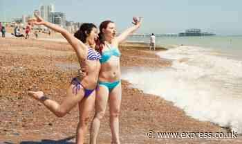 Women rebel against beauty standards by flaunting pubic hair in bikinis