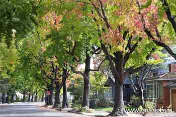 Living in Highly Segregated Neighborhood Tied to Lower Life Expectancy