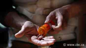 Sask. Health Authority receives $1.7M in federal funding to help chronic pain patients with opioid dependency