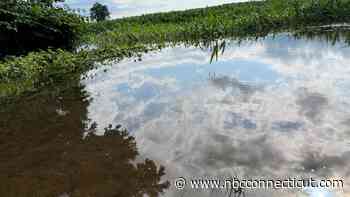 Connecticut farmers reeling after 2,000 acres of crops destroyed by flooding