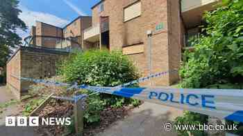 Cambridge: Inquests open for mother and children who died after fire