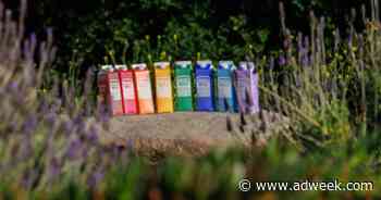 ‘The Best Packaging Is No Packaging:’ Dr. Bronner’s New Carton Has 82% Less Plastic