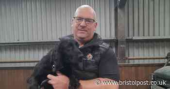 Meet the police dogs that put their lives on the line to protect and serve