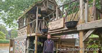 Delighted dad wins planning row over amazing tree house he lovingly built for daughter