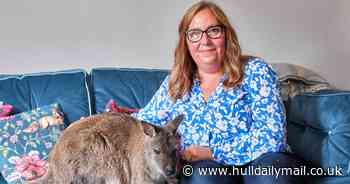 Meet the Hornsea woman who raised rejected wallaby as her own - even carrying her around in a pouch as a baby