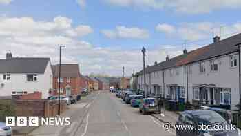 Fighting dog in Coventry Tasered and contained in bin by police