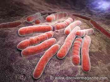 What Is the Drug Bedaquiline and Why Is It Important for Those With Tuberculosis?