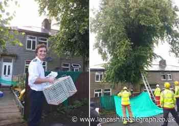 Woman praises firefighters after rescuing cat stuck in tree