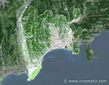 Nice classée la ville la plus verte de France... même si le béton gagne du terrain