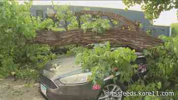 Storm causes tree to fall, crush car; teen driver injured